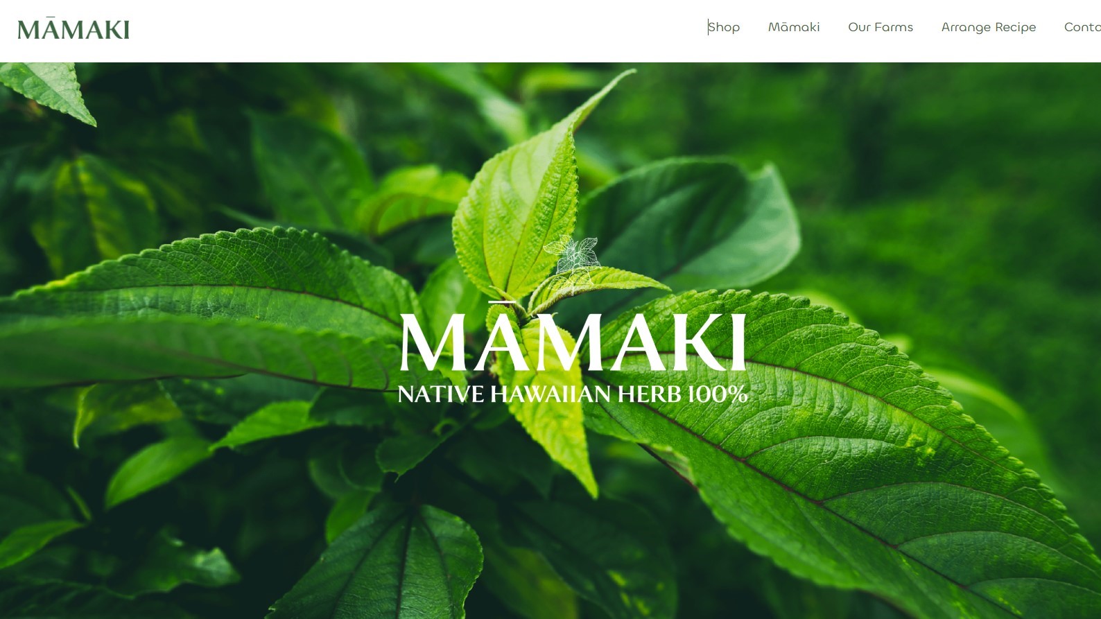 シナジーワールドワイド・ジャパン、カタログを改定 価格やパッケージ