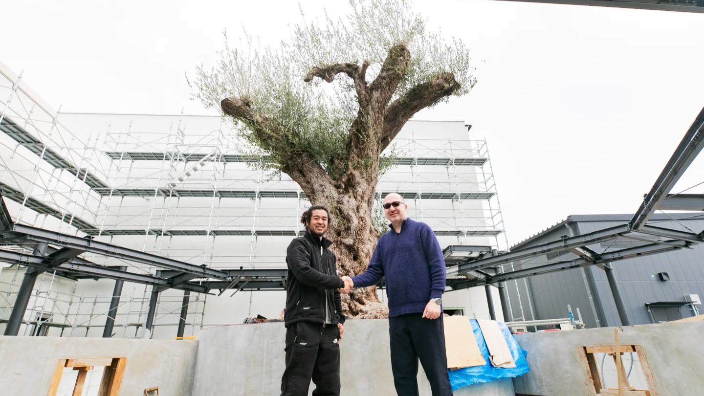 main_image_212a44521e9f2f750cc