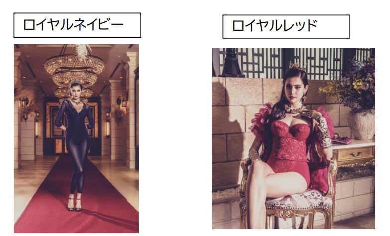 Dstyleホールディングス、補整下着「ダイアジェンヌ」新発売