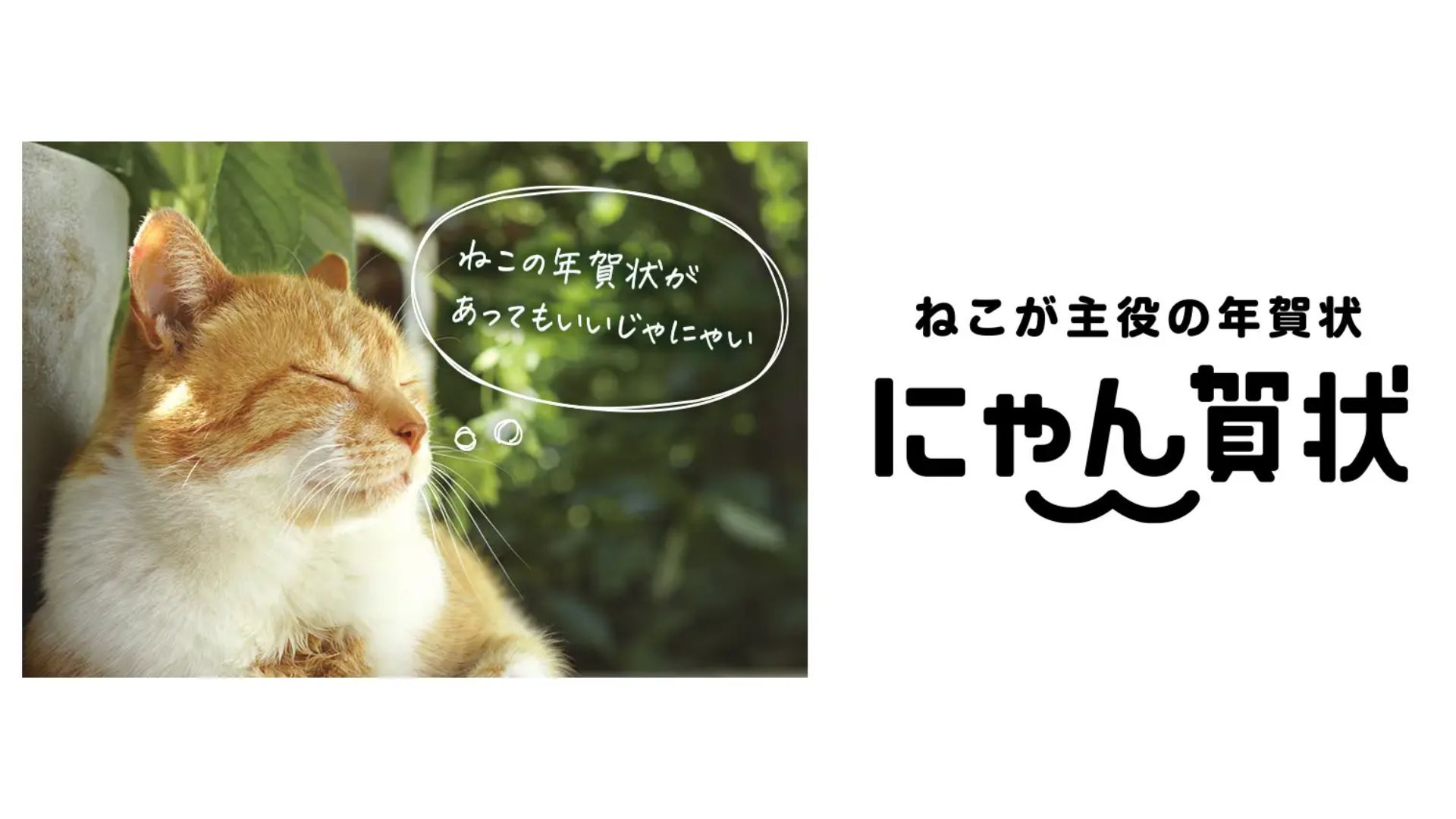 フェリシモ、猫が主役の年賀状 「にゃん賀状」2026年版登場 | 日本流通