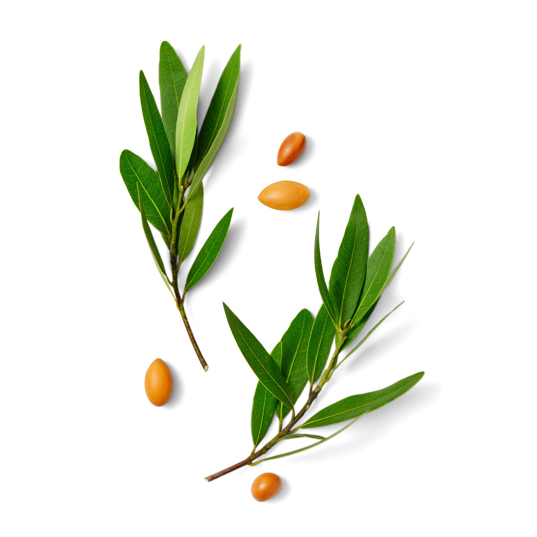 日本アムウェイ、「アーティストリー ロンジェビティTM」 美肌寿命へ