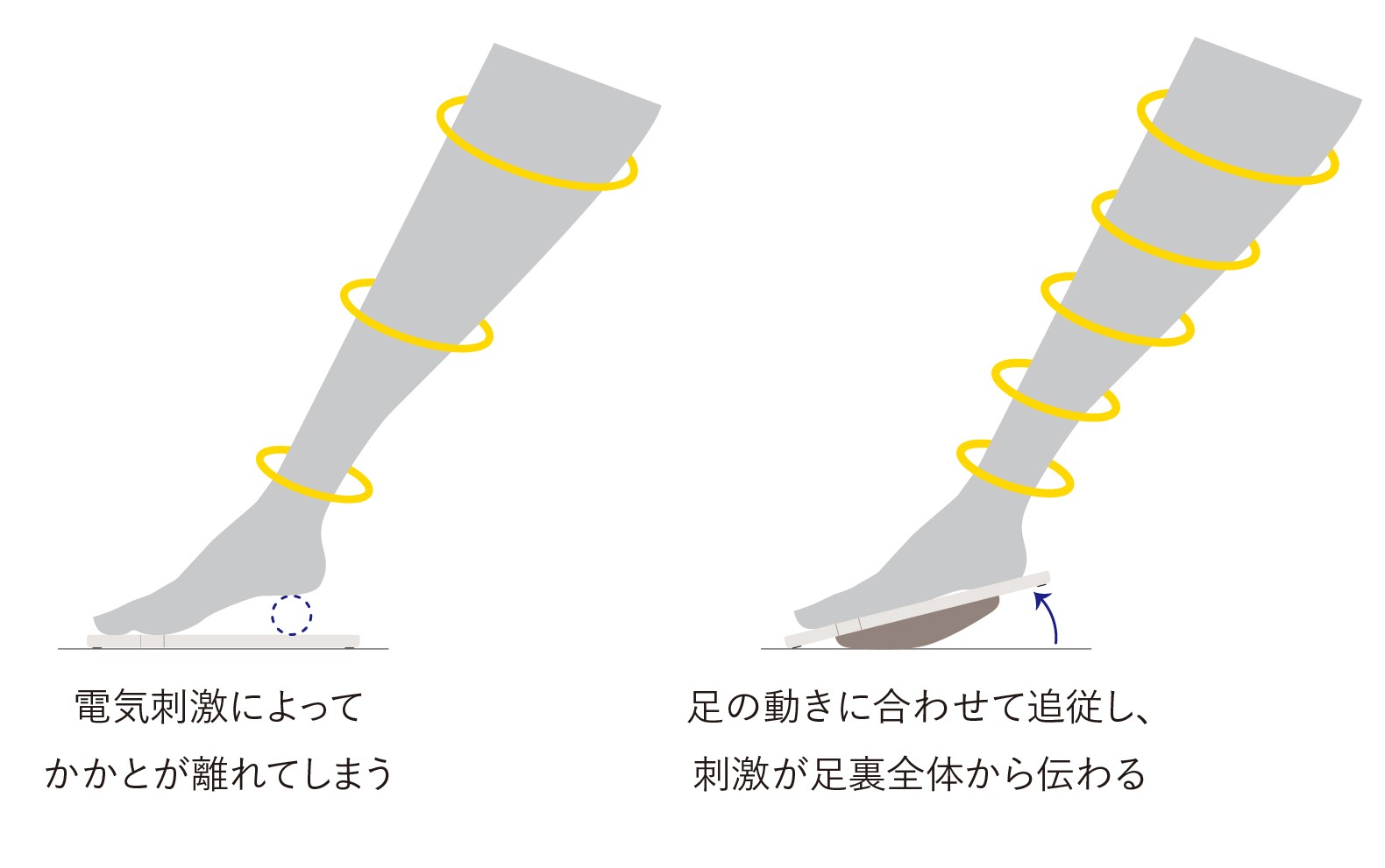 MTG、足裏鍛える新モデル「Foot Fit 3 Compact」 中尾ミエさん起用